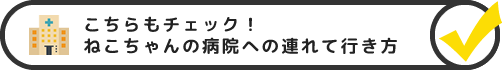 ねこちゃんの病院への連れて行き方