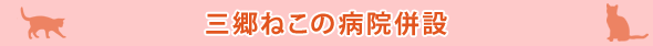 三郷ねこの病院併設