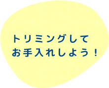 トリミングしてお手入れしよう！