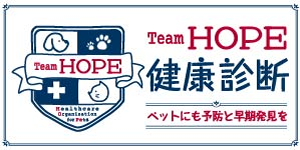 Team HOME　健康診断