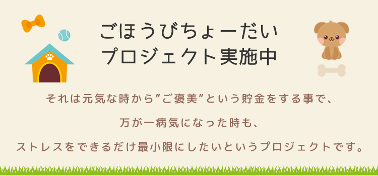 ごほうびちょーだいプロジェクト実施中