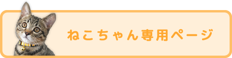 ネコちゃんの飼い主様へ