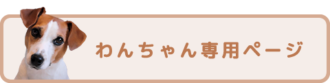 ワンちゃんの飼い主様へ