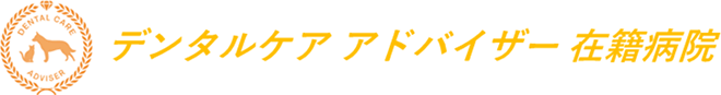 デンタルケアアドバイザー在籍